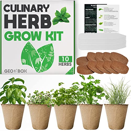 Indoor Herb Garden Starter Kit