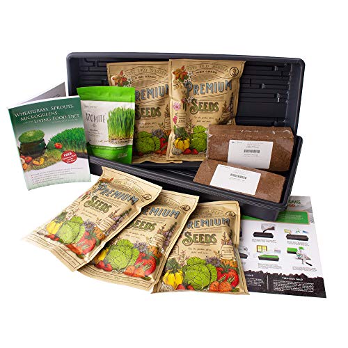 Organic Wheatgrass Growing Kit