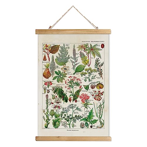 Vintage Botany Poster Hanger Frame