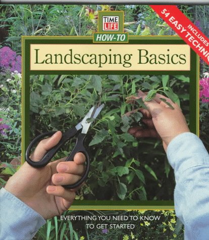 Landscaping Basics: A Comprehensive Guide for Beginners