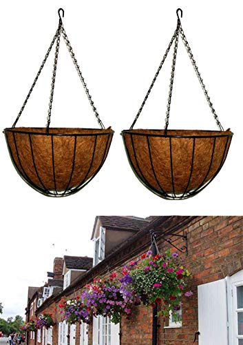 MTB Hanging Baskets with Coco-Liner