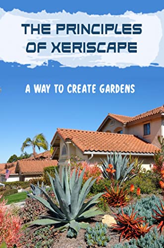 Xeriscape: A Water-Efficient Guidebook for Stunning Gardens