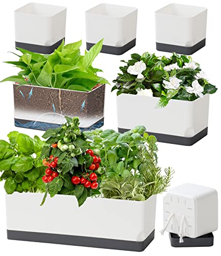 Self Watering Planters Pots for Indoor Plants