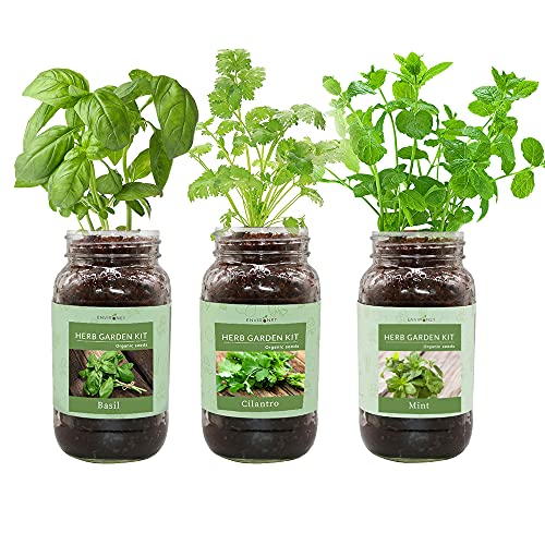 Environet Herb Gift Set