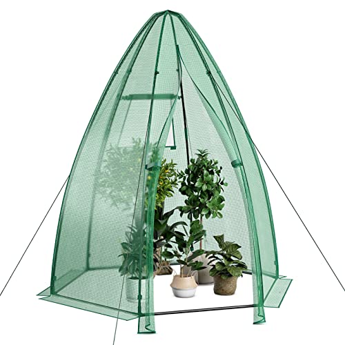 Safstar Portable Mini Greenhouse