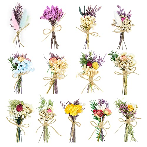 Baseca Dried Flowers - Mini Dried Flower Bouquet