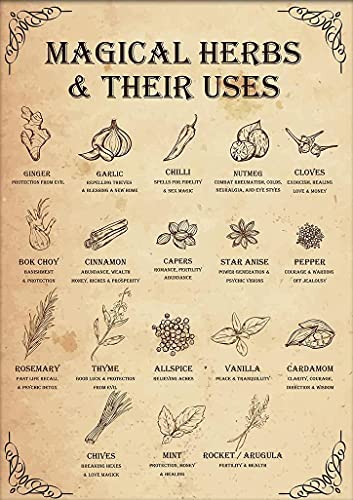 Magical Herbs & Their Uses Witchy Poster Tin Sign