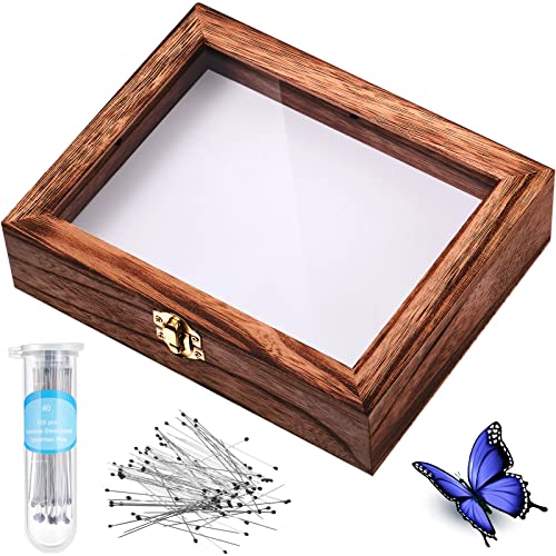 Insect Display Case Box Collection Box
