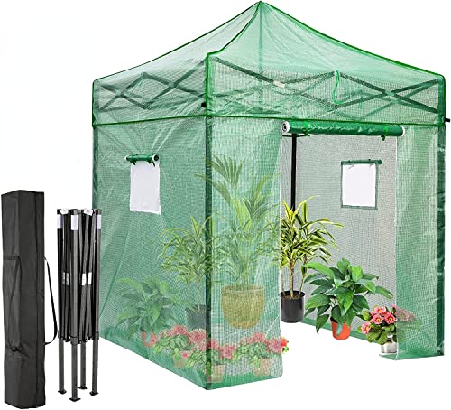 RLAIRN Pop Up Greenhouse