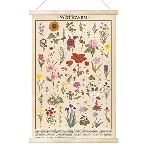 Vintage Wildflowers Poster Botanical Wall Art Prints