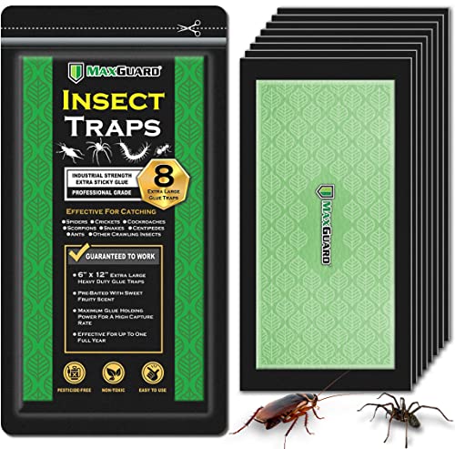 MaxGuard Extra Large Insect Traps (8 Traps)