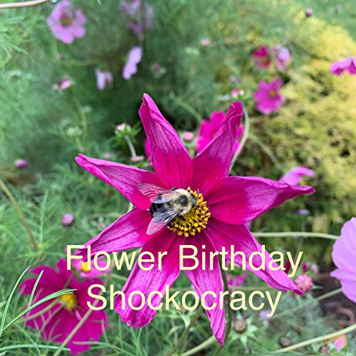 Flower Birthday - Vibrant and Colorful Gardening Product