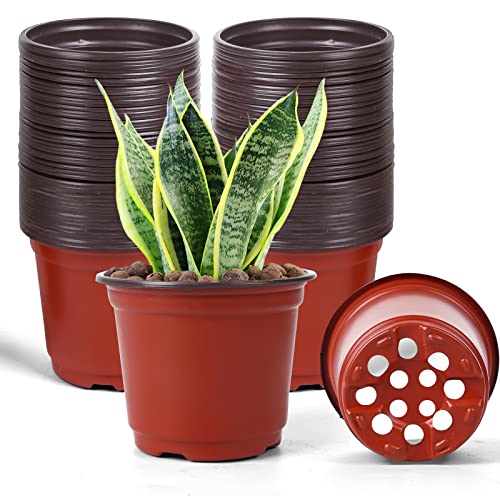 HECTOLIFE 6 Inch Plant Nursery Pots