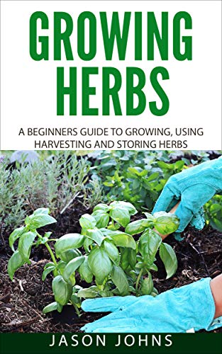 Beginner's Guide to Growing Herbs