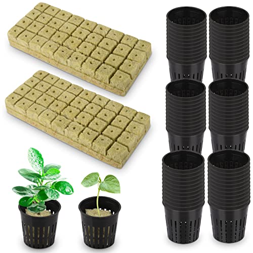 72 Sets Rockwool Cubes and Net Pots