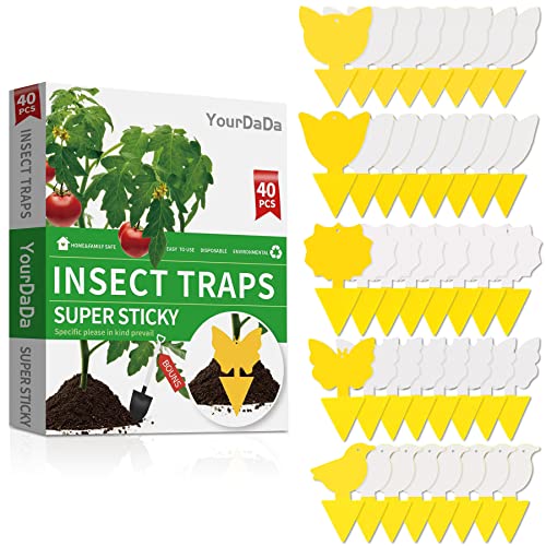 Yellow Sticky Traps for Fruit Fly and Other Insects