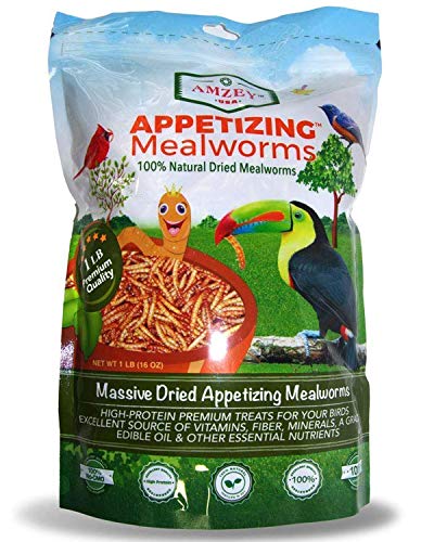 Amzey Dried Mealworms