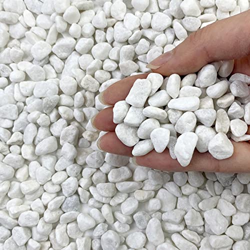 10LB Natural Succulent Gravel Decorative White Gravel