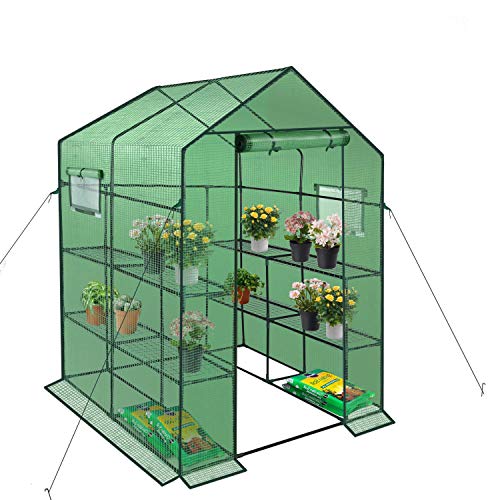 ENSTVER Walk-in Greenhouse with Window, 2 Tiers and 8 Shelves