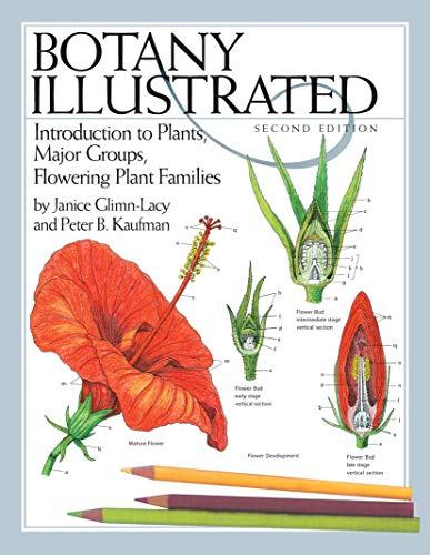 Botany Illustrated: Introduction to Plants