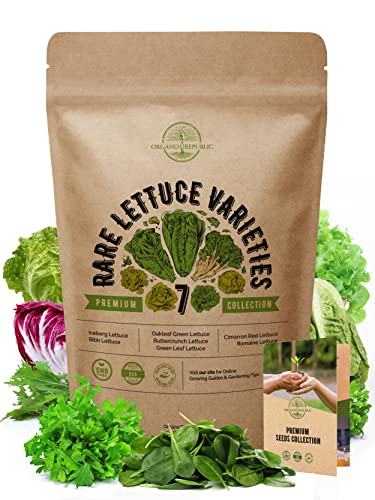 7 Lettuce Seeds Variety Pack - Non-GMO Heirloom Seeds