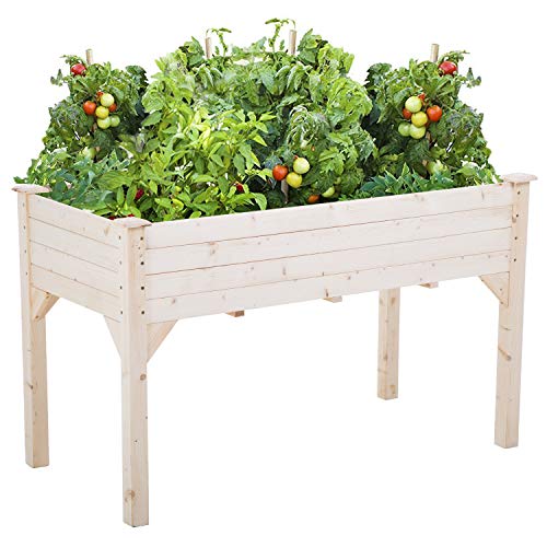 FDW Raised Garden Bed - Functional and Durable Planter Box for Healthy Plant Growth