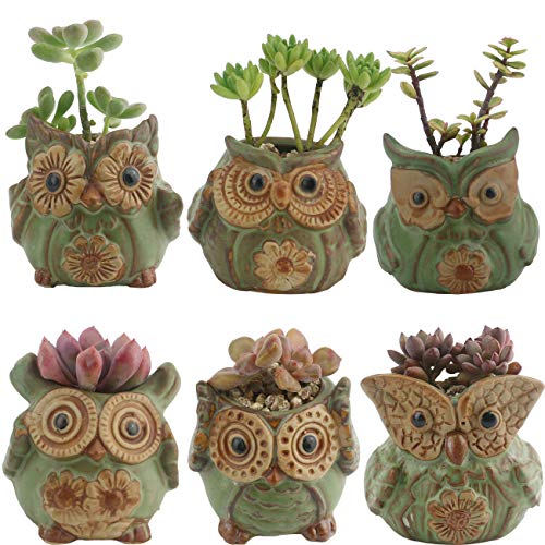 Owl Plant Window Boxes