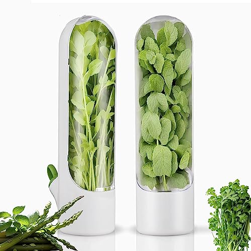 Herb Saver for Refrigerator