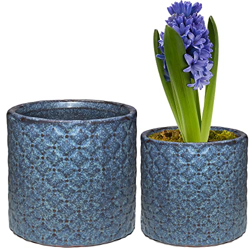 Mood Lab Flower Plant Pots - Pack of 2 Blue pots