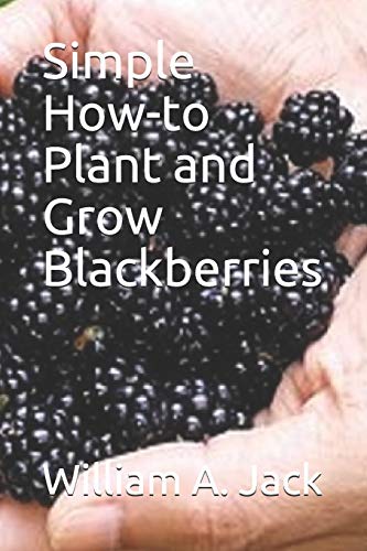 Plant and Grow Blackberries Guide