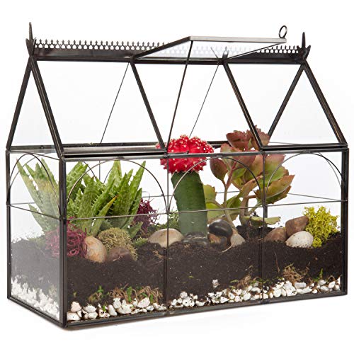 D'Eco Glass Terrarium: Geometric DIY Greenhouse for Indoor Gardening