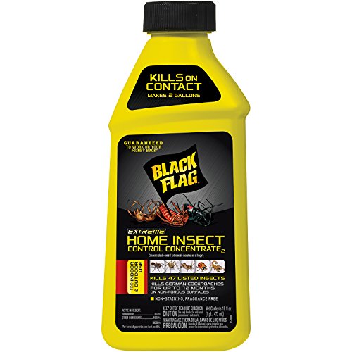 Black Flag Extreme Insect Control Concentrate