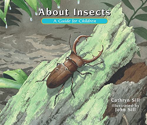About Insects: A Children's Guide