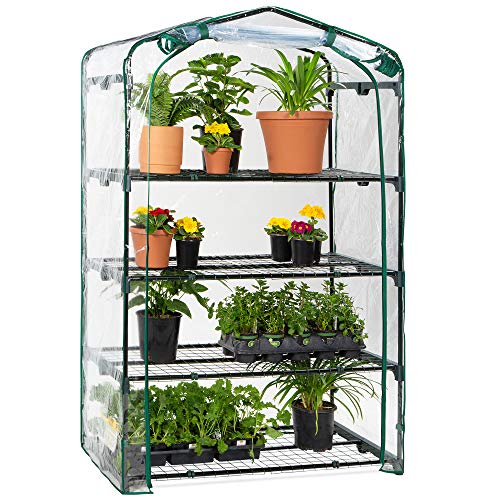 4-Tier Mini Greenhouse for Indoor/Outdoor Gardening