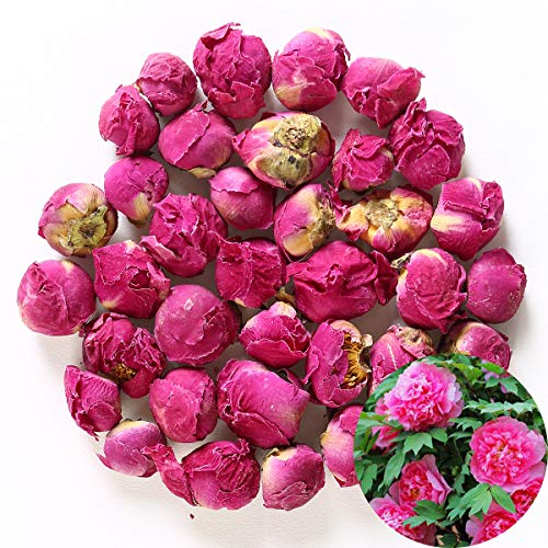TooGet Fragrant Peony Ball Paeonia lactiflora Dried Flowers