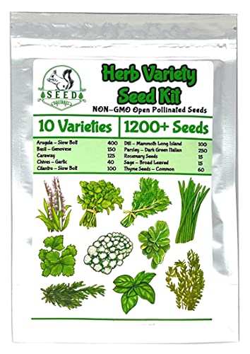 Seed Squirrel Herb Variety Seed Kit - Grow Your Own Herb Garden