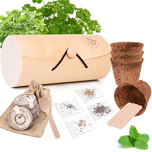 Ushine Indoor Herb Garden Starter Kit