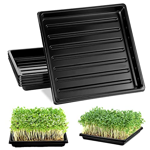 5 Pack Garden Plant Growing Trays