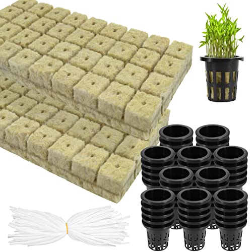 Rockwool Cubes with Net Pots for Hydroponics