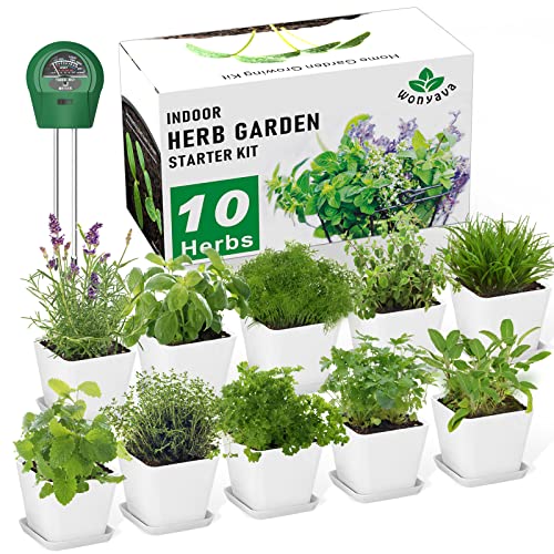 Indoor Herb Garden Starter Kit