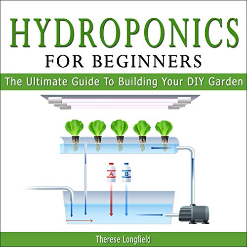 The Complete Beginner’s Guide to Hydroponics at Home
