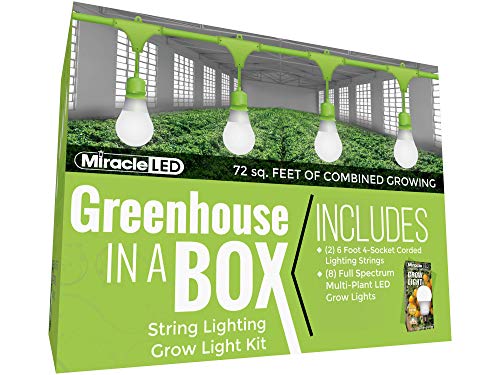 Miracle LED Greenhouse in a Box Grow Kit