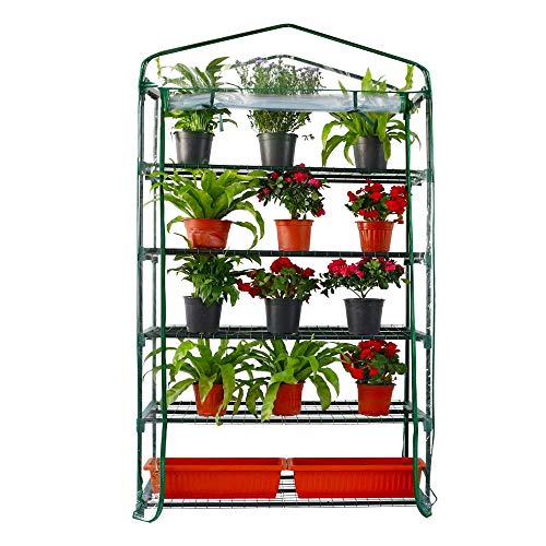 Extra Wide Mini Greenhouse - Sturdy Gardening Shelves