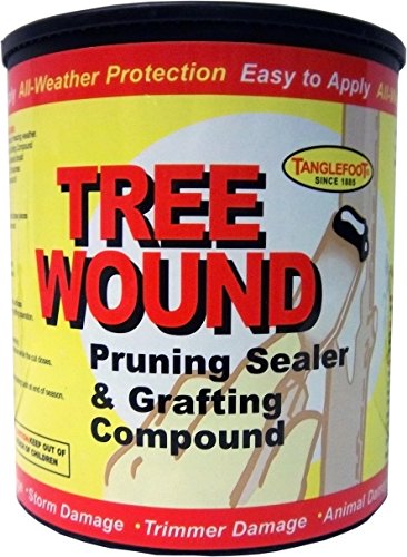 Tanglefoot Tree Wound Pruning Sealer