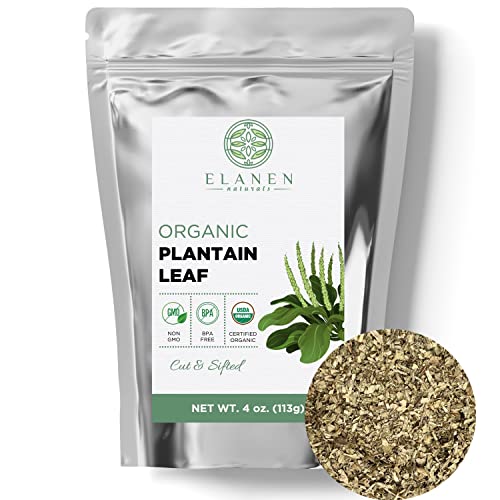 Organic Plantain Leaf - Potent USDA Certified Dried Herb