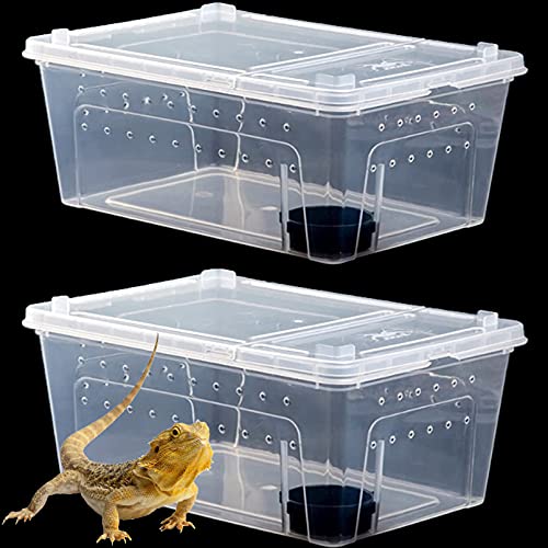 Portable Reptile Feeding Box for Small Pets