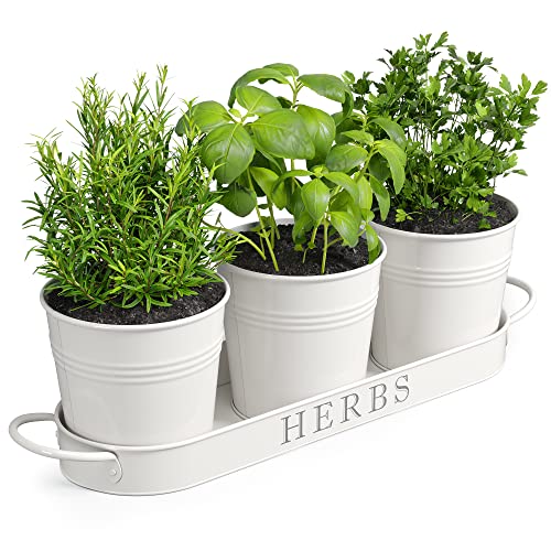 Farmhouse Herb Garden Planter