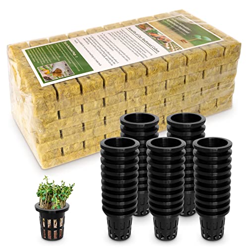 Jowlawn Rockwool Cubes for Hydroponics 200 Plugs with Net Pots