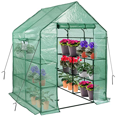 PE Walk in Greenhouse with 2 Side Mesh Windows