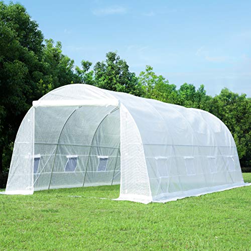 EROMMY 20' x 10' x 7' Greenhouse